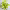 https://res.cloudinary.com/billionhands/image/upload/v1775049307/items/f828rc6jm7llf8htuztb.webp-0cover