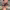 https://res.cloudinary.com/billionhands/image/upload/v1775049309/items/btwqnmt5nwkcxjjaf8ye.webp-2cover