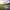 Santa Clara Golf Marbella (Marbella, Málaga) cover