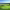 https://res.cloudinary.com/billionhands/image/upload/v1775049339/items/shroacffx9fj6ua5kpka.jpg-0cover
