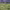 https://res.cloudinary.com/billionhands/image/upload/v1775049341/items/hw2bcwt0zswd145dh2gv.jpg-1cover