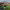Los Naranjos Golf Club (Marbella, Málaga) cover