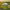 https://res.cloudinary.com/billionhands/image/upload/v1775049342/items/bjngdknnzdcwuoctkes4.webp-3cover