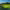 https://res.cloudinary.com/billionhands/image/upload/v1775049343/items/nwsyuh6dd3dw7qvfjbmj.webp-2cover