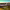 https://res.cloudinary.com/billionhands/image/upload/v1775049345/items/isgjjxxiarwy2ipcztau.webp-3cover