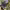 https://res.cloudinary.com/billionhands/image/upload/v1775049867/items/onhpffuf6f8gdefb6pmn.jpg-3cover