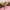Billy Porter en The Blonds (2019) cover