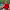 https://res.cloudinary.com/billionhands/image/upload/v1775050627/items/ggskimcr8g3oa7kihdwm.webp-3cover