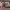 https://res.cloudinary.com/billionhands/image/upload/v1775050973/items/yuwjwe9qehnjkcx0o8dp.jpg-2cover
