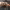 https://res.cloudinary.com/billionhands/image/upload/v1775050976/items/byutvzwxnvhlo4vsxvgn.jpg-3cover