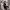 https://res.cloudinary.com/billionhands/image/upload/v1775051144/items/lopc4ukuowolsi4sxmc5.jpg-3cover