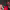 https://res.cloudinary.com/billionhands/image/upload/v1775051145/items/d9hhc5ctys1o24g3myrh.avif-0cover