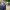 https://res.cloudinary.com/billionhands/image/upload/v1775051147/items/thlf4igdsswbd0kcpuda.webp-3cover