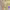 https://res.cloudinary.com/billionhands/image/upload/v1775052142/items/nyrzhapbktv28dlyzlqy.jpg-0cover
