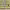 https://res.cloudinary.com/billionhands/image/upload/v1775052144/items/pluxly3rpv4vst6epqzv.jpg-3cover