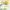 https://res.cloudinary.com/billionhands/image/upload/v1775052292/items/th77l5a3mld4uxgbazac.webp-0cover