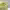 https://res.cloudinary.com/billionhands/image/upload/v1775052294/items/xcwkx1ukyadnx9pougrm.jpg-2cover