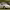 https://res.cloudinary.com/billionhands/image/upload/v1775053771/items/uhqney7q9j0r7jattrne.jpg-1cover