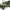 https://res.cloudinary.com/billionhands/image/upload/v1775053776/items/oog3n2rgf4rlbc7ydqlv.jpg-2cover