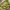 Honeygrow cover