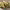 https://res.cloudinary.com/billionhands/image/upload/v1775054239/items/gjujt3ptpop2gar3dgv0.jpg-2cover