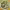 https://res.cloudinary.com/billionhands/image/upload/v1775054240/items/odsxd50ekubgdogx7qp7.webp-3cover