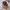 https://res.cloudinary.com/billionhands/image/upload/v1775054244/items/riv5xjv7jlpyszdds2g4.jpg-3cover