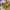 https://res.cloudinary.com/billionhands/image/upload/v1775054380/items/uy1brxyezfxsp0tkxapl.jpg-3cover