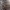 https://res.cloudinary.com/billionhands/image/upload/v1775054808/items/swhiof5q1pxopfxjzlrn.webp-3cover
