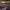 https://res.cloudinary.com/billionhands/image/upload/v1775056886/items/izzb0ahjwvp1trcji2e8.jpg-2cover