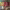 https://res.cloudinary.com/billionhands/image/upload/v1775057509/items/xygxzablvwra9okxaeid.jpg-2cover