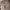https://res.cloudinary.com/billionhands/image/upload/v1775059545/items/l7ylq5pgkjltzmzwzxy2.jpg-1cover