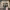 https://res.cloudinary.com/billionhands/image/upload/v1775059593/items/usvs3fr9s3b2zwlnxrns.jpg-3cover