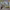 https://res.cloudinary.com/billionhands/image/upload/v1775060240/items/mroxap5pcxogyjso5aeq.webp-1cover