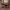 https://res.cloudinary.com/billionhands/image/upload/v1775062153/items/zxglf170mweqgaqltjwo.webp-1cover