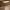 https://res.cloudinary.com/billionhands/image/upload/v1775062154/items/axolnwzearyqktnid1a4.avif-0cover