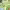 https://res.cloudinary.com/billionhands/image/upload/v1775062268/items/dhndkkpyldjzawcosywy.png-2cover