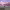 https://res.cloudinary.com/billionhands/image/upload/v1775062274/items/anggpxnwxpifqljibqom.jpg-2cover