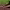Plantation Mahabhiyan along riverbanks (July 1, 2025) cover