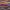 https://res.cloudinary.com/billionhands/image/upload/v1775067101/items/ggegmtjwcltk9wm4qybj.webp-2cover