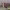 https://res.cloudinary.com/billionhands/image/upload/v1775068255/items/vtg5cpcdgbxuguqxbtmg.jpg-3cover