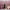 https://res.cloudinary.com/billionhands/image/upload/v1775068395/items/kckhebi2g0v5mysy2ohs.webp-3cover
