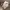 https://res.cloudinary.com/billionhands/image/upload/v1775068397/items/ozf4btn891wum3do57ed.jpg-0cover