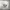 https://res.cloudinary.com/billionhands/image/upload/v1775068398/items/xuxqaoyn5pfikrb9xwrb.avif-1cover