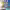 https://res.cloudinary.com/billionhands/image/upload/v1775068401/items/ftiebh3yzhgc99t3f3gp.webp-3cover