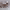 https://res.cloudinary.com/billionhands/image/upload/v1775068410/items/pn8lj6bew1krnnsvvqwn.jpg-0cover
