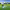 https://res.cloudinary.com/billionhands/image/upload/v1775068819/items/azs1z5i6syc1pin3op3d.webp-3cover