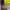 https://res.cloudinary.com/billionhands/image/upload/v1775068909/items/fw3sfccb8xcvv0flrt5w.jpg-1cover