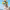https://res.cloudinary.com/billionhands/image/upload/v1775069164/items/ftxl2oje6qur240eaxic.jpg-0cover