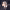 https://res.cloudinary.com/billionhands/image/upload/v1775069239/items/n53b0novs2bxscl3lpc1.jpg-0cover